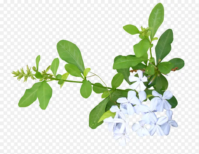 �ڰ������ز�ʸ�������ز�-������