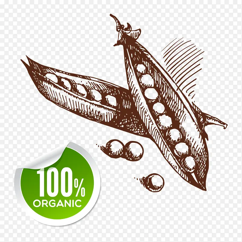 �߲�-������