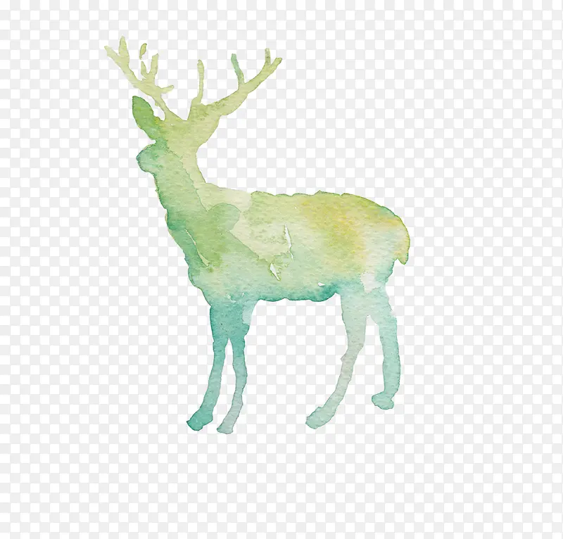 ʥ������¹�����ز�-������