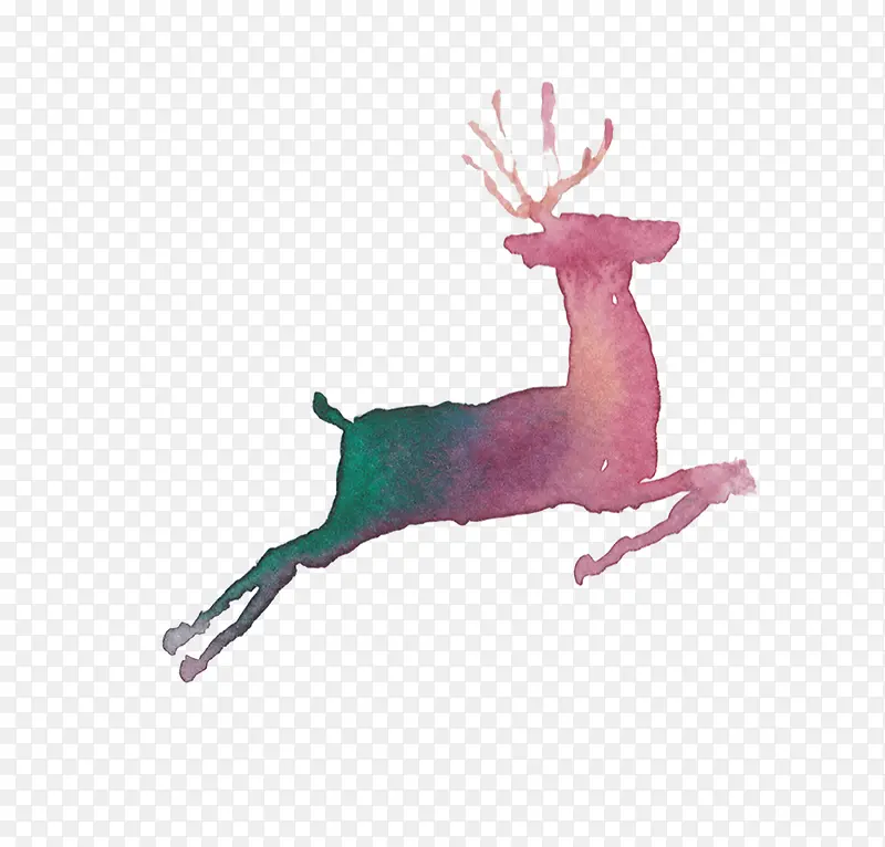 ʥ����¹�ز�-������