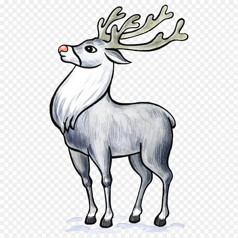 ��¹��ͨʥ��-������