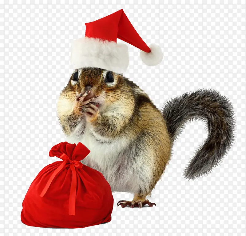 �ɰ�ʥ��ñ������-������