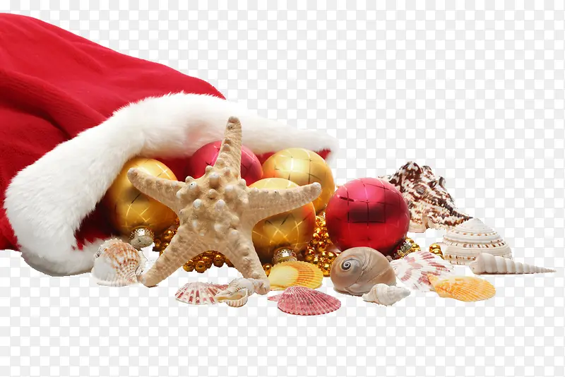 ʥ��������ʥ��ñ-������