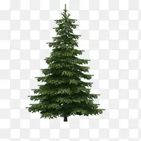 ʥ�����ز�ͼ-������