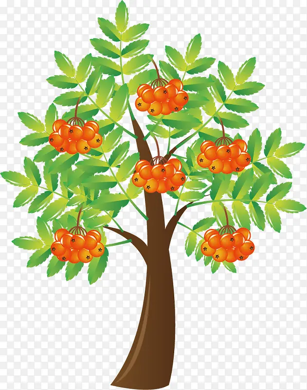 ʸ�����ز�-������