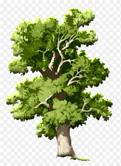 ��-������