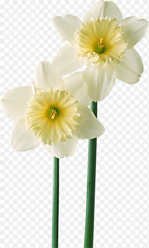 �������軨��ͼ���ز�-������