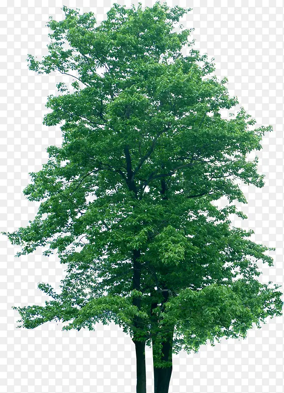 ����������ز�-������