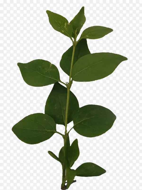 ������-������