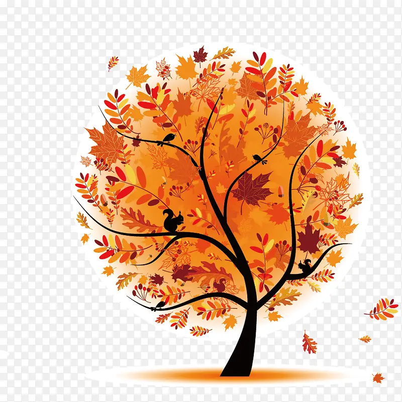 �ٺ�ɫ������-������