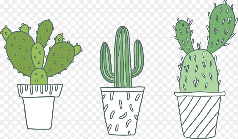 ������ֲ���ز�ʸ���ֻ�Ԫ��-������