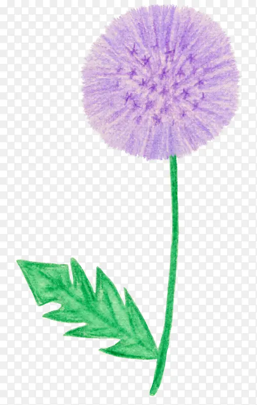 ޹�²�-������