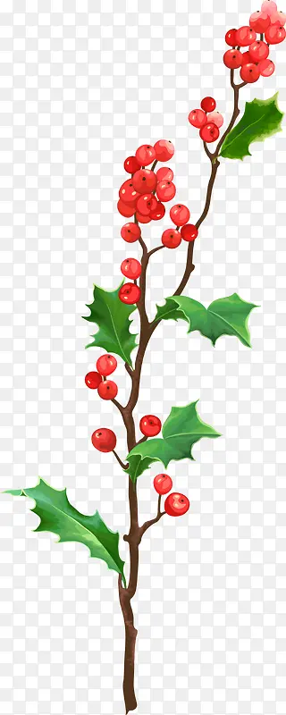 ʥ����ֲ���ز�-������