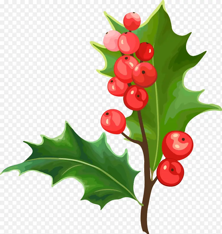 ʥ��Ҷ�ӹ����ز�-������