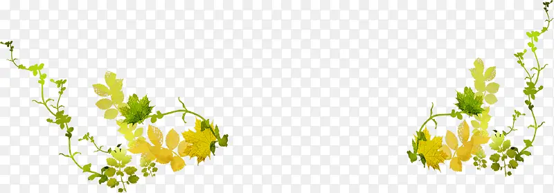 �����ز���ɫֲ��-������