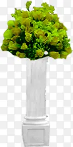 ��ɫֲ����Ӱ�ز�-������