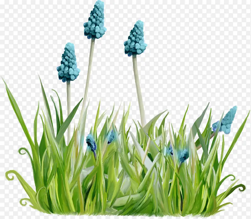 ��ɫ޹�²�-������