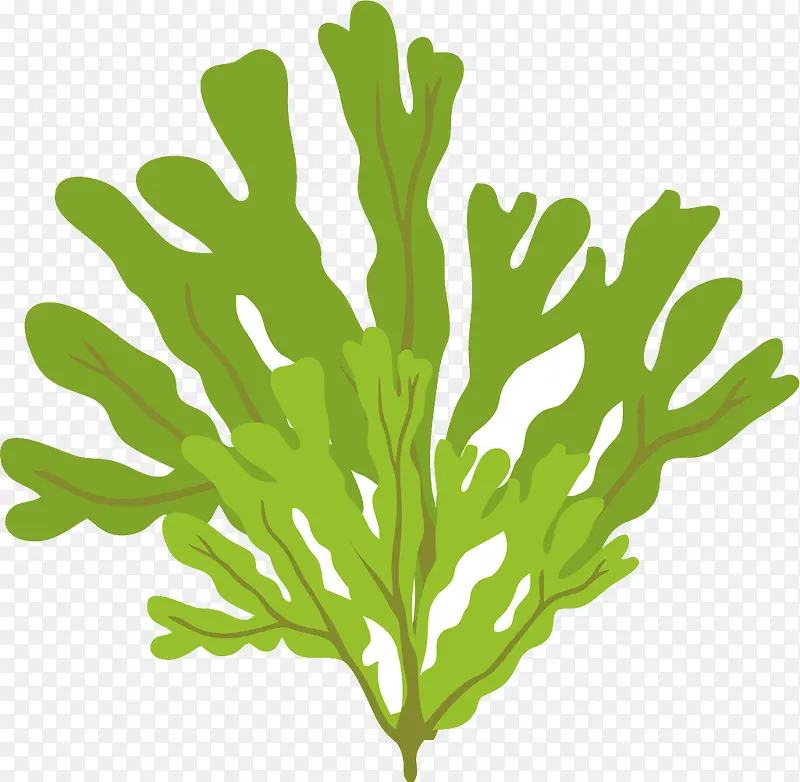 ����ʸ����ͨ����-������