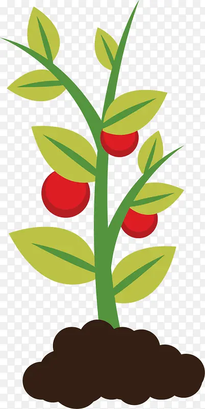 ��ɫ��ֲͨ��ͼ��-������