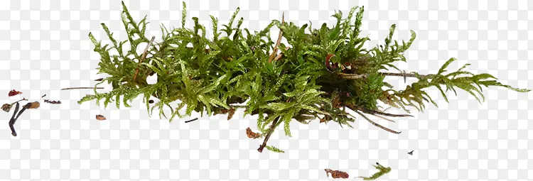 ������Ӱ����ݱ�ֲ��ϳ�-������