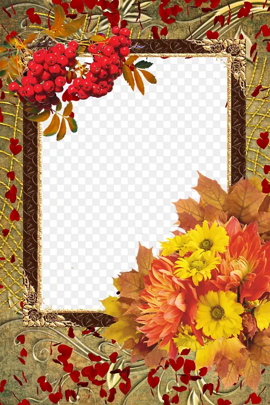 �ʻ�������Ʊ߿�-������