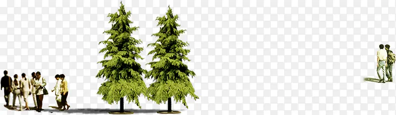 ��ɫֲ�ﴴ������-������