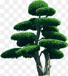 ���崴��԰��ֲ����Ӱ-������