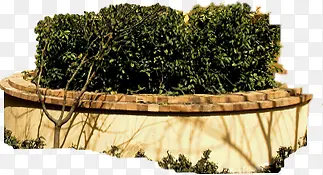 ���崴����Ӱ��ɫ԰��ֲ��-������