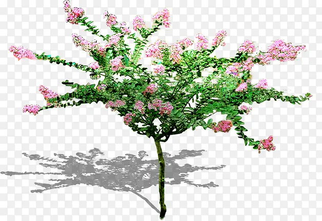 ��ɫ���ܴ�����ɫֲ��԰����Ӱ-������