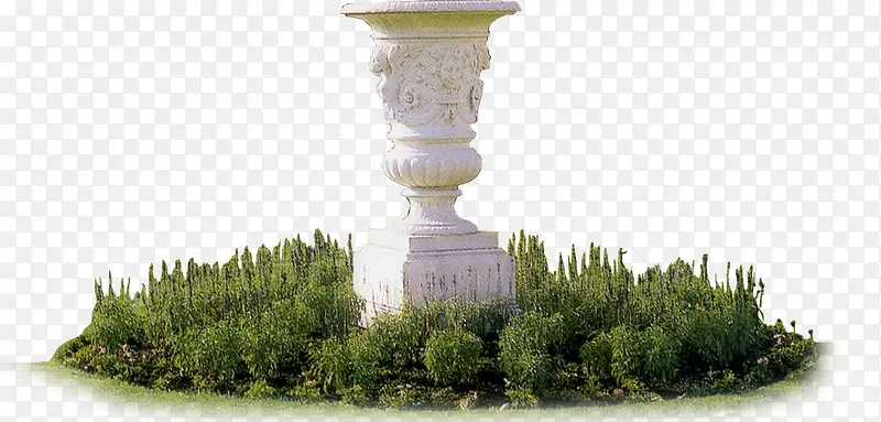 ���崴���ɫ��ɫֲ��-������