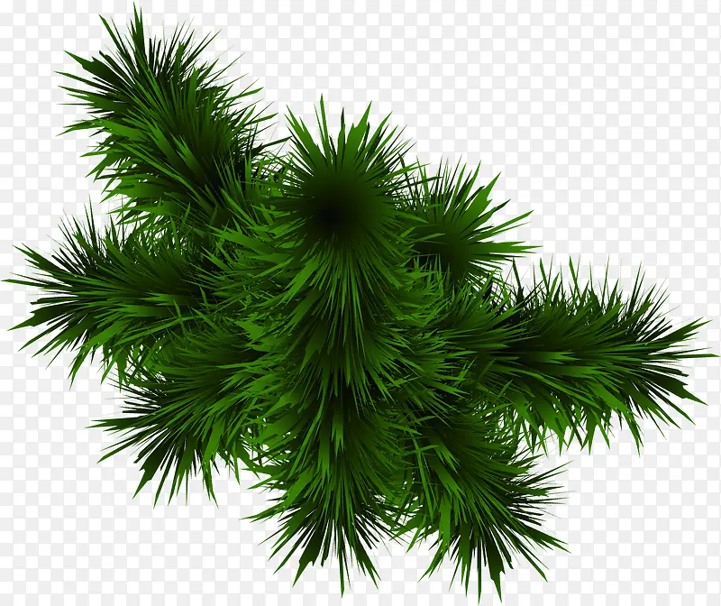 ��ɫ�Ŵش���ֲ��-������