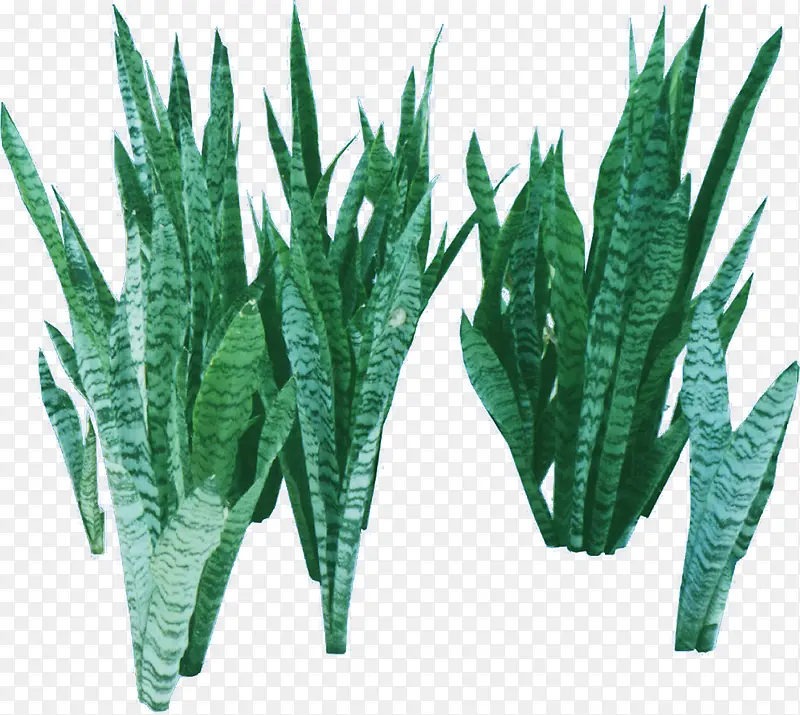 ����ֲ�ﴴ�����-������