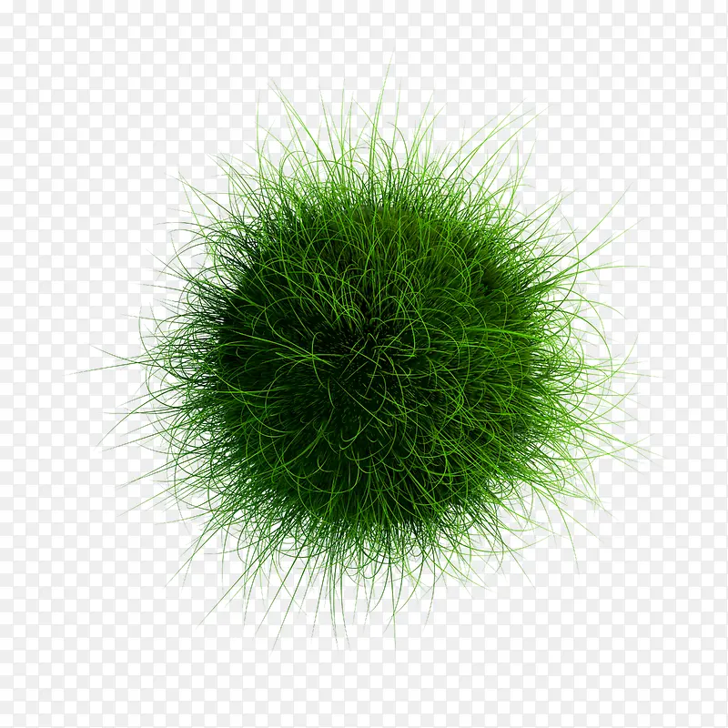 ����-������