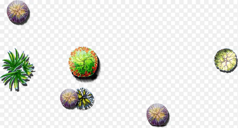 ���崴��ֲ������-������