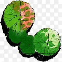 ���崴����ɫ�ݱ�ֲ��-������