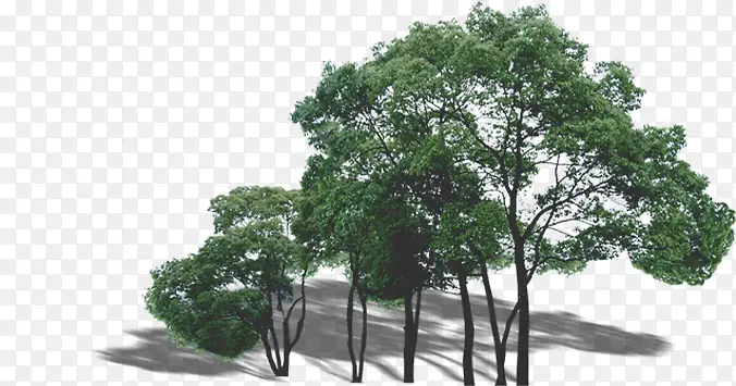 ���崴����Ӱ��ɫֲ��-������