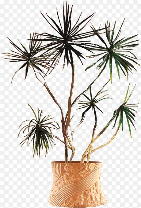 �ֻ澰��ֲ�ﴴ��-������