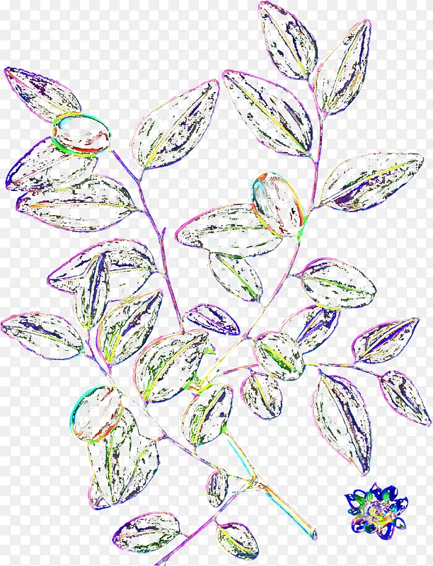 �ֻ洴�����ֲ��-������