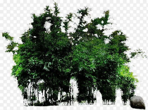 ��ɫ�������ݱ�ֲ��-������