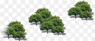 ���崴��ϳ���Ӱ��ɫֲ��-������