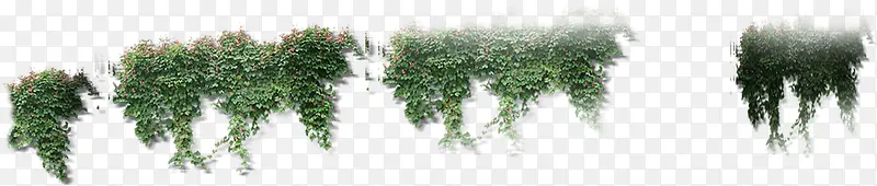 ��ɫ����ֲ�ﴴ��-������