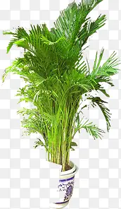 ���崴����Ӱ�ݱ�ֲ��-������