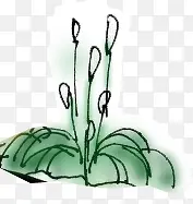 �ֻ洴����ɫֲ��-������