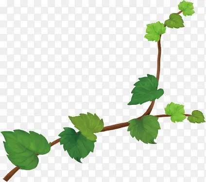 ��ɫʱ�д��⻨��ֲ��-������