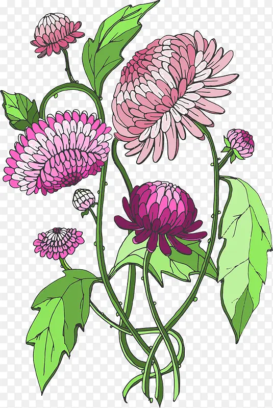 �����ѹ�Ӣ-������