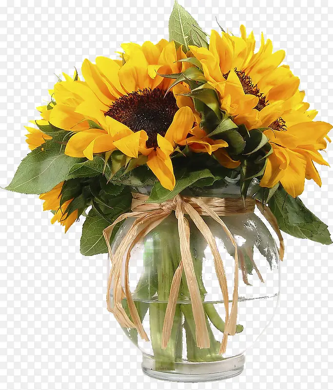 ���崴��ֲ�����տ�-������