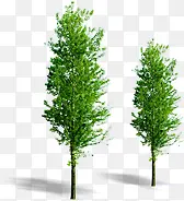 ������Ӱ��ɫ��ֲ��Ч��-������