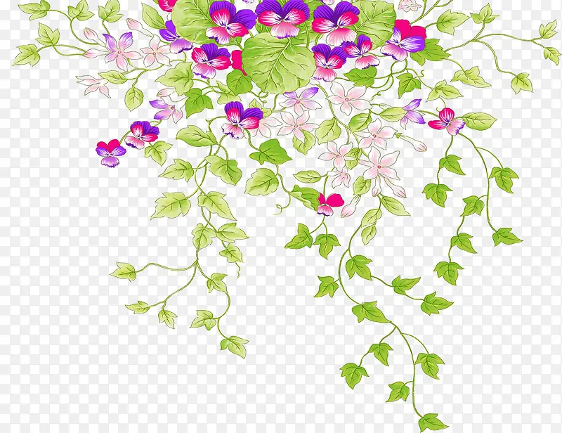 ���崴��ϳɲݱ�ֲ��-������