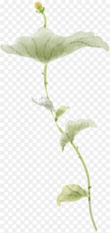 �ֻ���ɫֲ�ﴴ�����-������