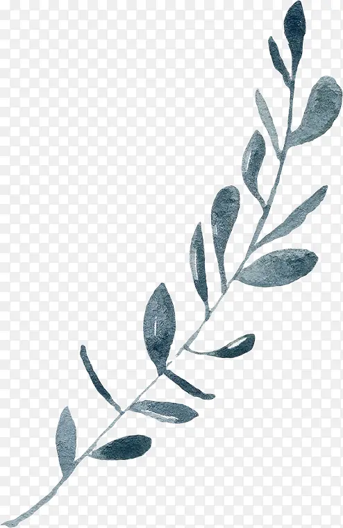 ��ɫ����ֲ���ֻ�-������